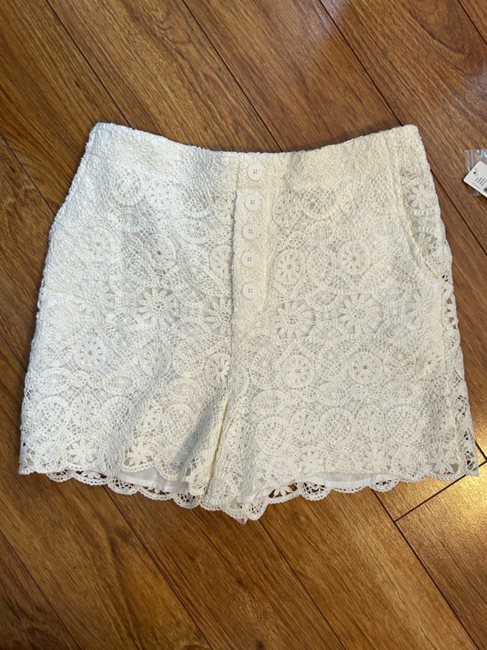Anthropologie Mauve Cream Crochet High Rise Shorts Size 6 NWT